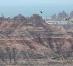 Note layers of stone and vulture