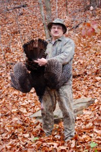 Notice the strong white bars on the tail feathers.